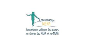 Matinée d’échanges relative à la continuité de l’accompagnement des (ex-)MENA